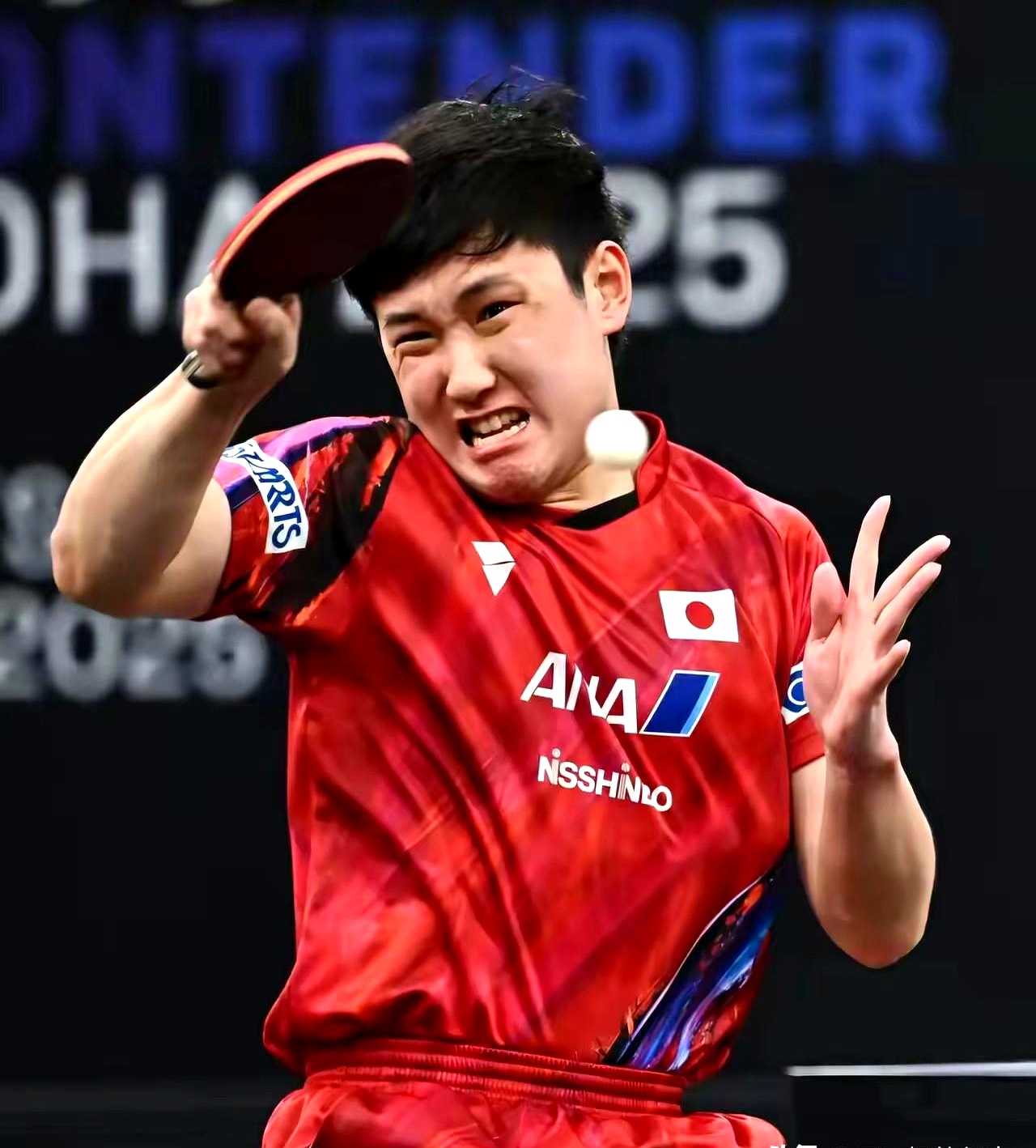 关于波兰乒乓球队力克韩国乒乓球队，张本智和高光表现的信息