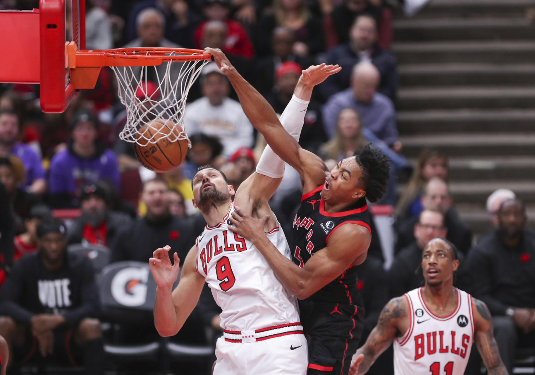 雄鹿横扫篮网，西亚卡姆带队取胜