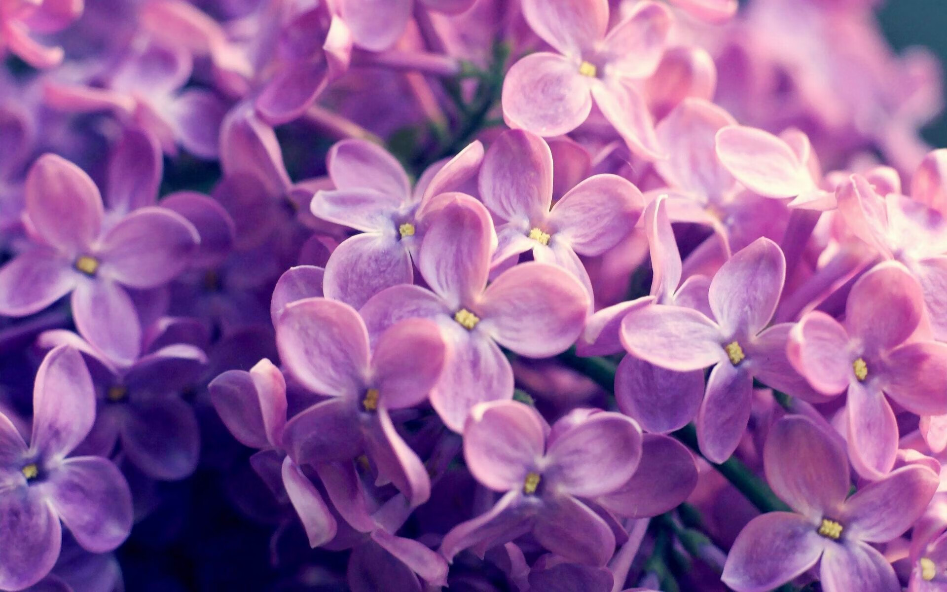 爱游戏娱乐-从绝境反扑到团队交响，年终总决赛的翻盘艺术与拉沃尔杯的集体诗篇