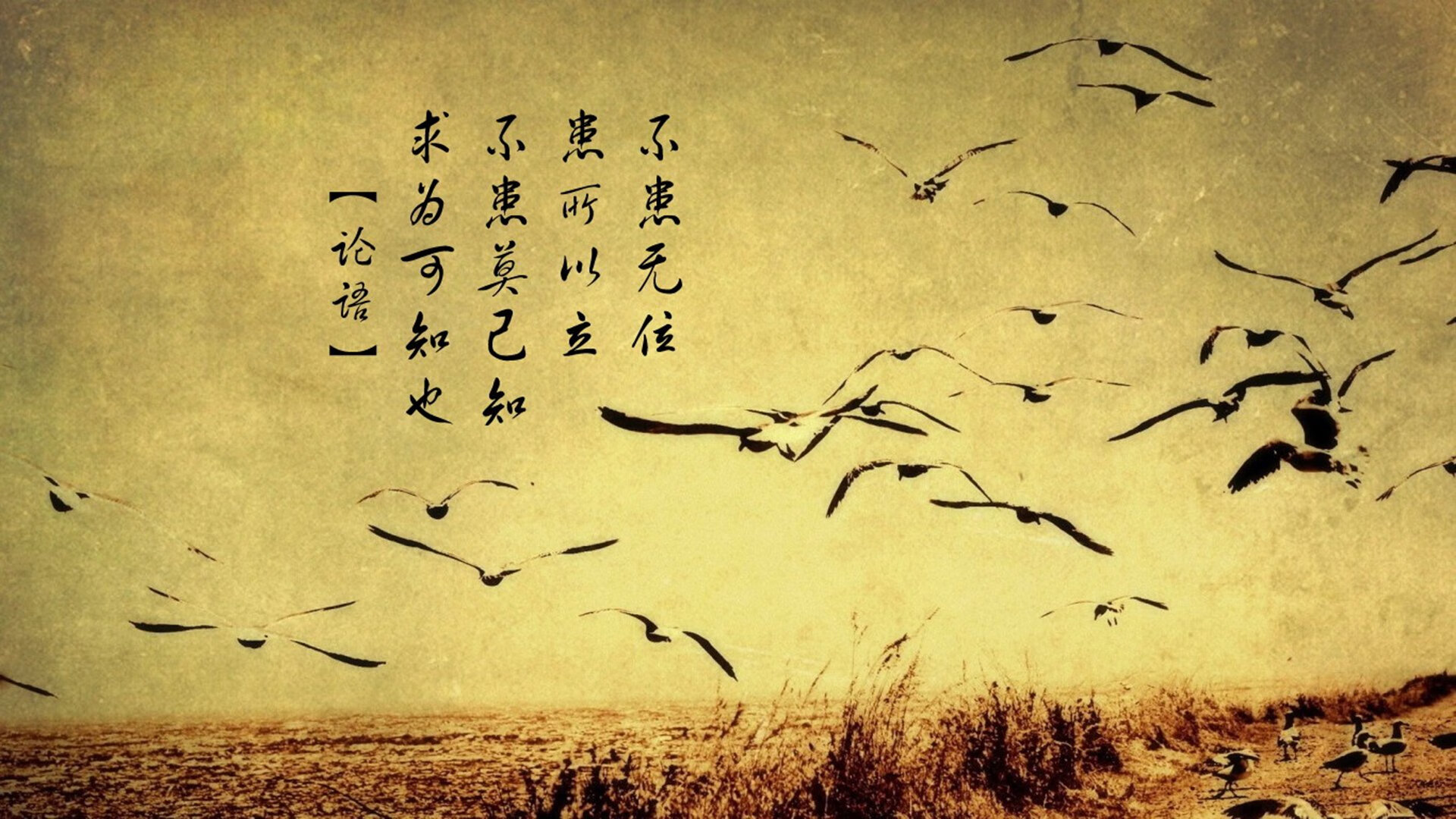 黑铁的夜晚与黄金的字母哥，一场粗暴美学的终极献祭