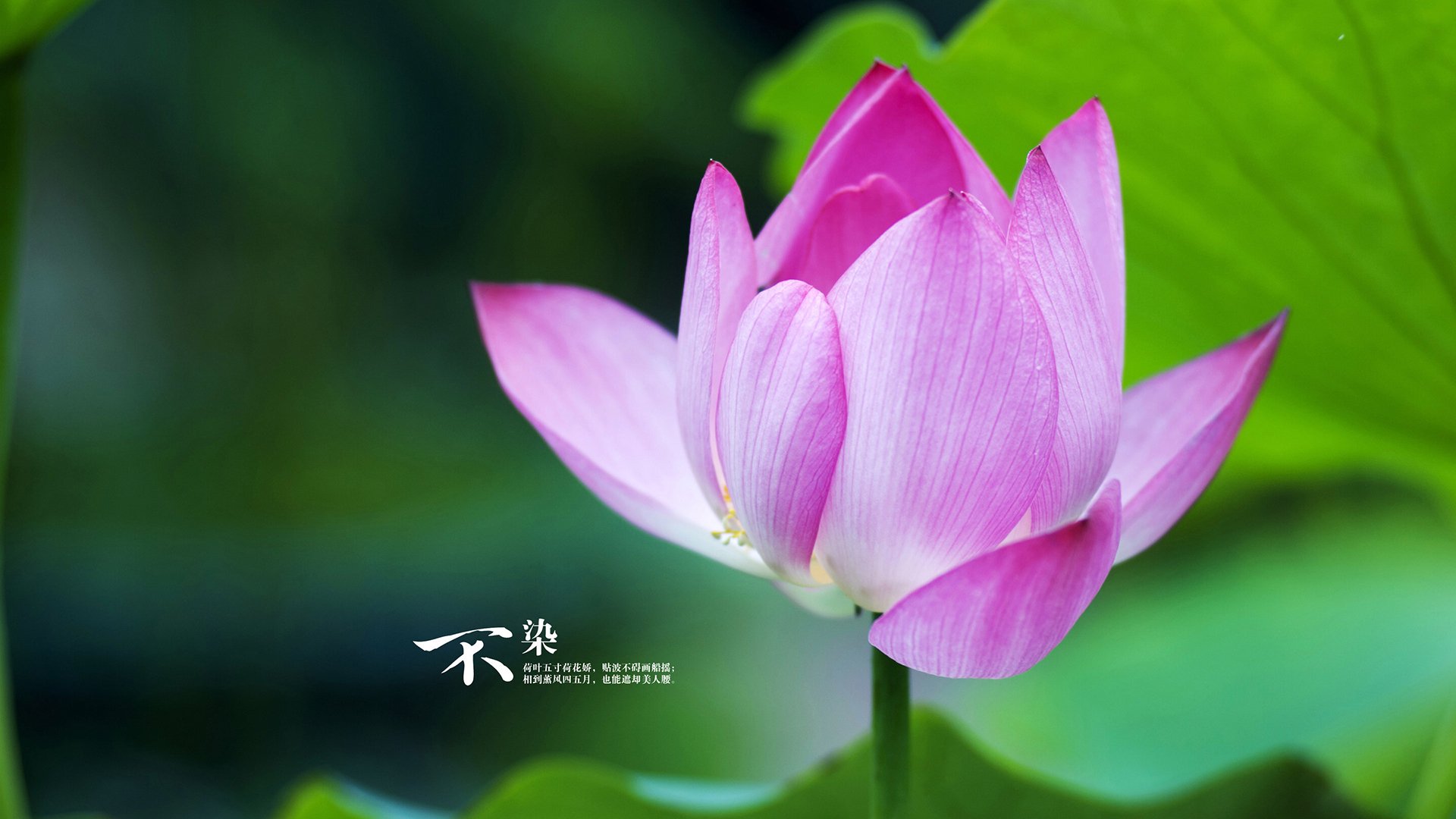 引擎的咏叹调，F1新赛季揭幕战之夜，保罗书写逆袭传奇