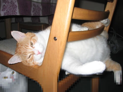 量子风暴击碎传控神殿,2026世界杯虚拟巴萨的东方滑铁卢