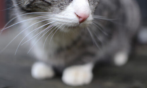 卡塞米罗全能爆发引爆战局，哥伦比亚高效得分链彻底压制乌拉圭