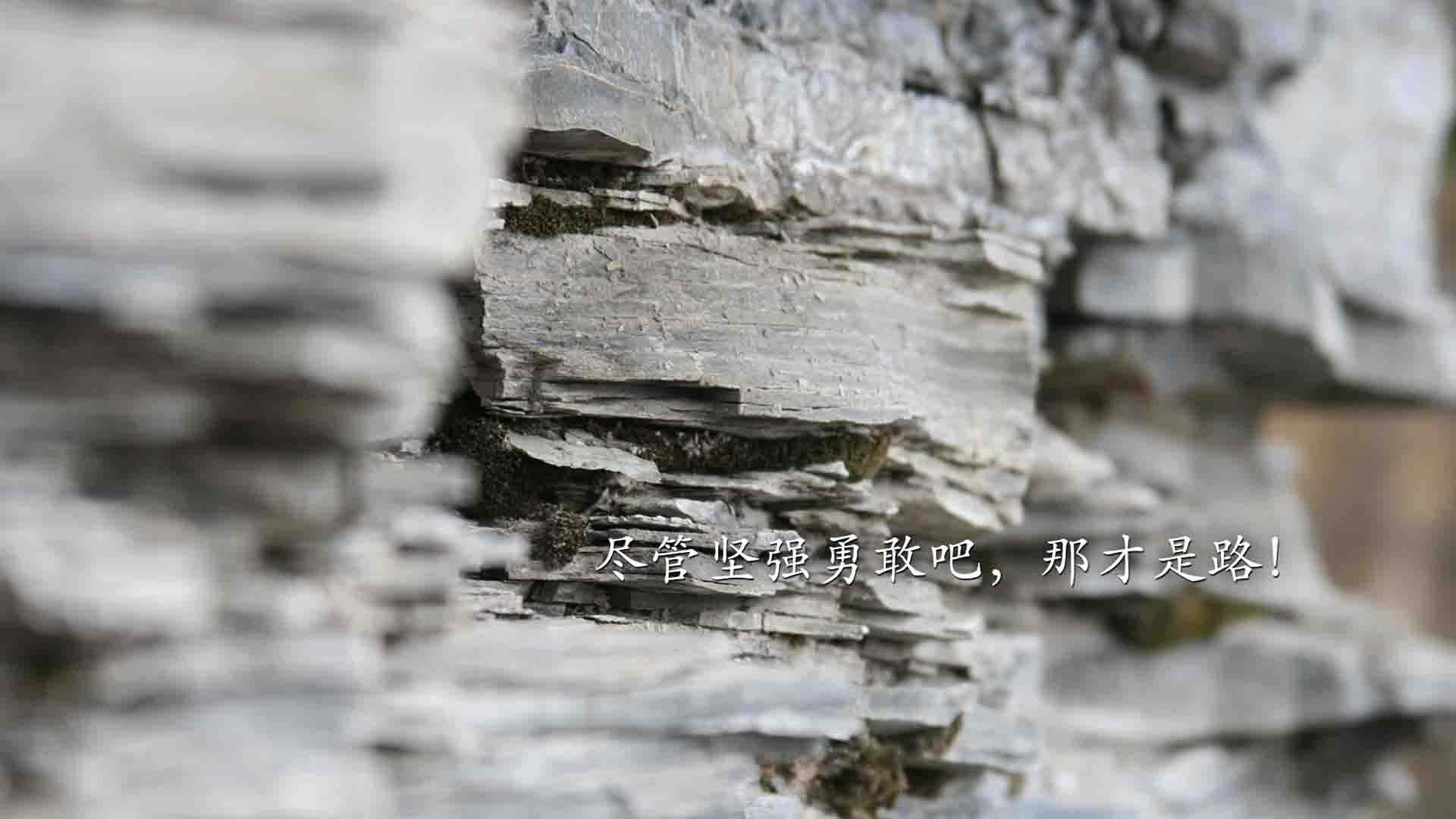 绝地反击!活塞背水一战擒篮网,西亚卡姆接管关键时刻定义比赛