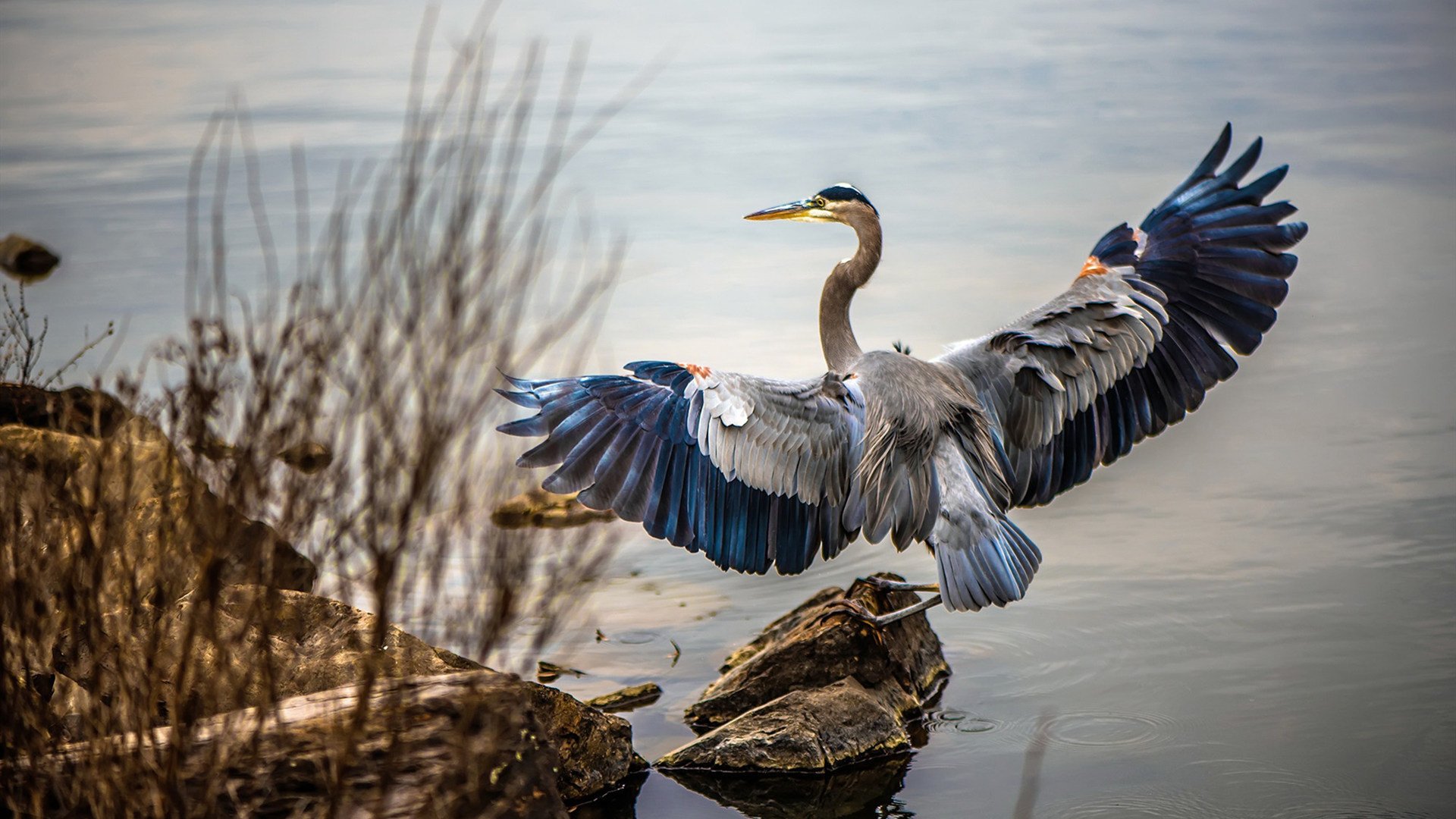 钢锁横江，阿什拉夫铸就叹息之墙，沙漠之狐力斩委内瑞拉锋芒