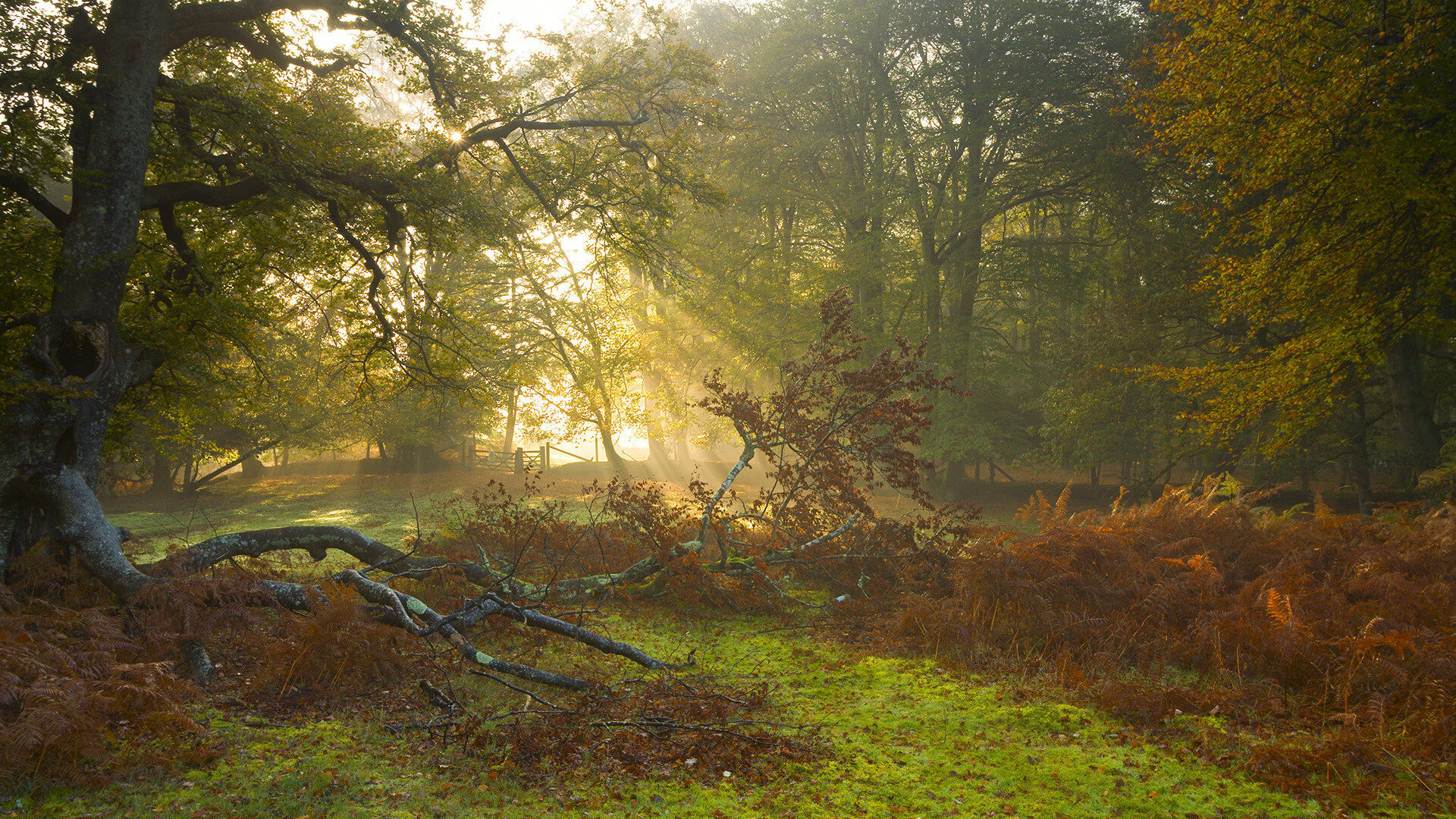铁壁与风暴,当阿坎吉的沉默之墙,迎上莱比锡的冰岛寒流