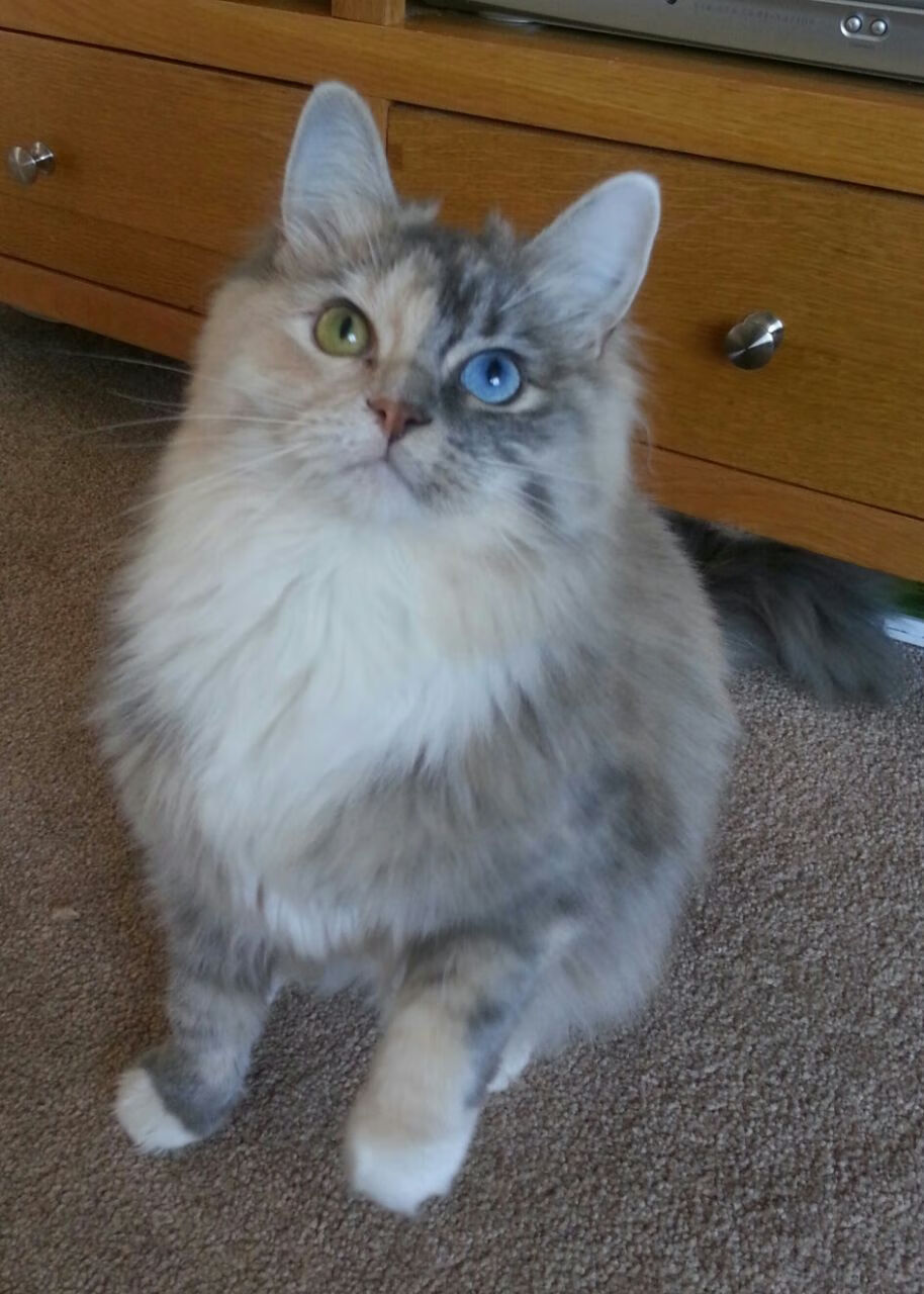 唯一性的双重奏,太阳压哨绝杀开拓者与班凯罗F1年度争冠的传奇时刻