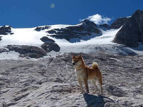 从五棵松到甲骨文,收割式胜利与英雄时刻的唯一性独白
