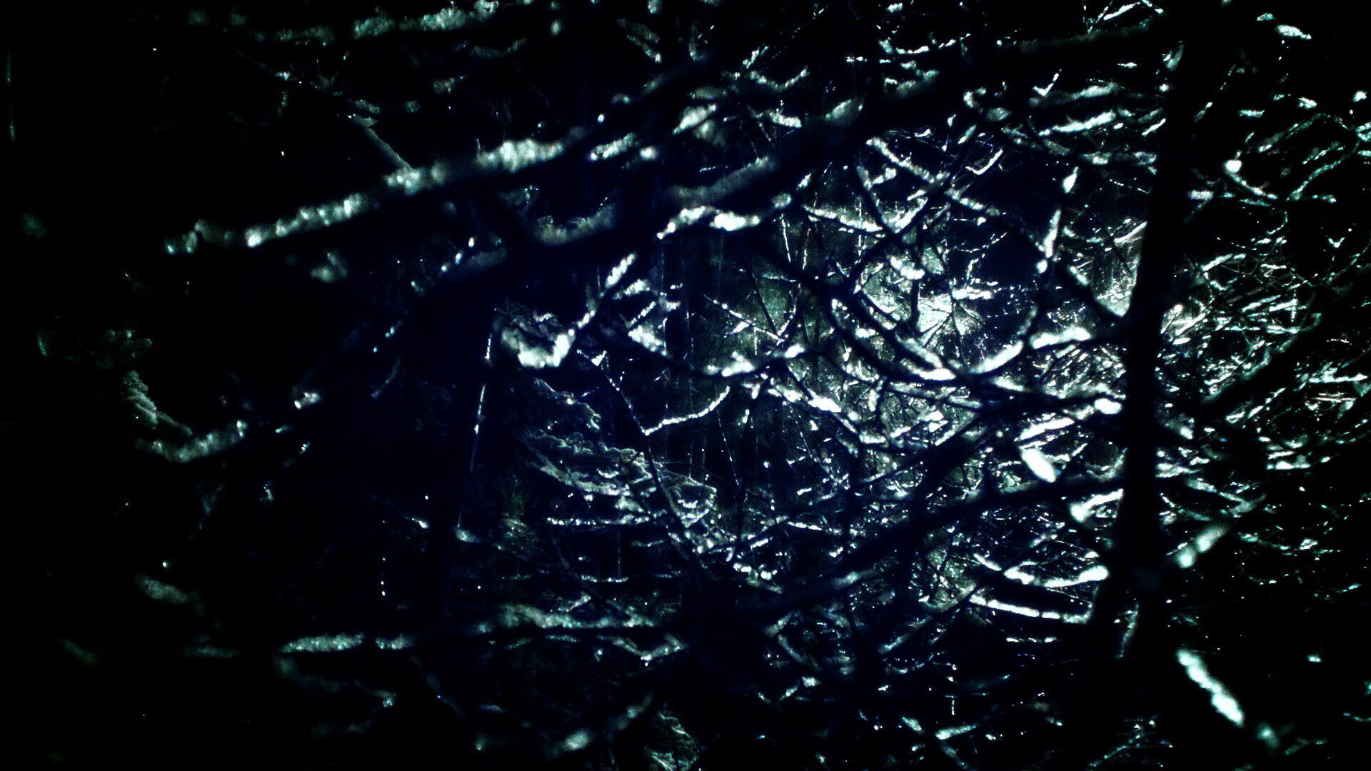 逆袭之夜，霍勒迪在F1揭幕战的无声宣言