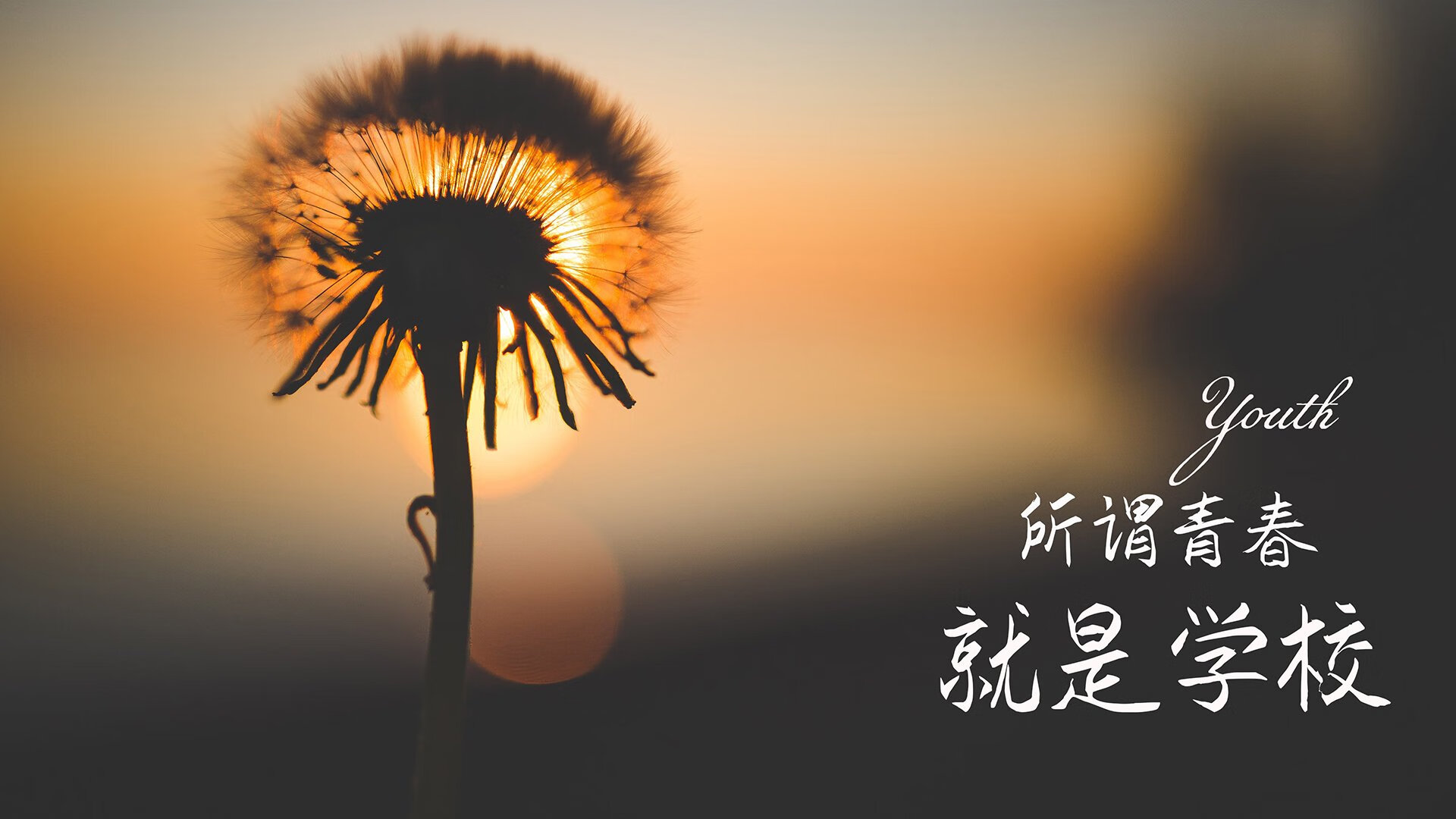 摩洛哥之刃，2026世界杯A组绝杀之夜，防守反击的终极诠释