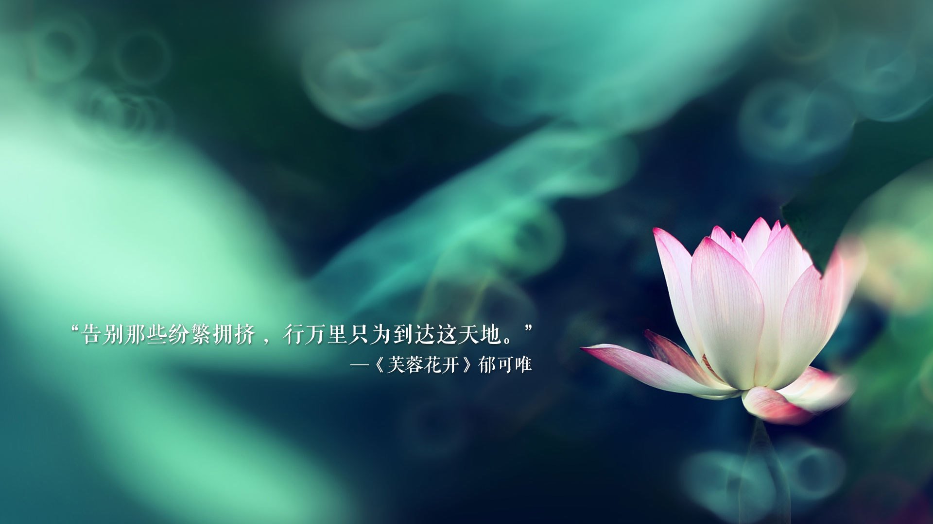 铁血桑巴，2026世界杯H组焦点战，巴西险胜斯洛伐克，姆巴佩以强硬姿态定义王者之夜