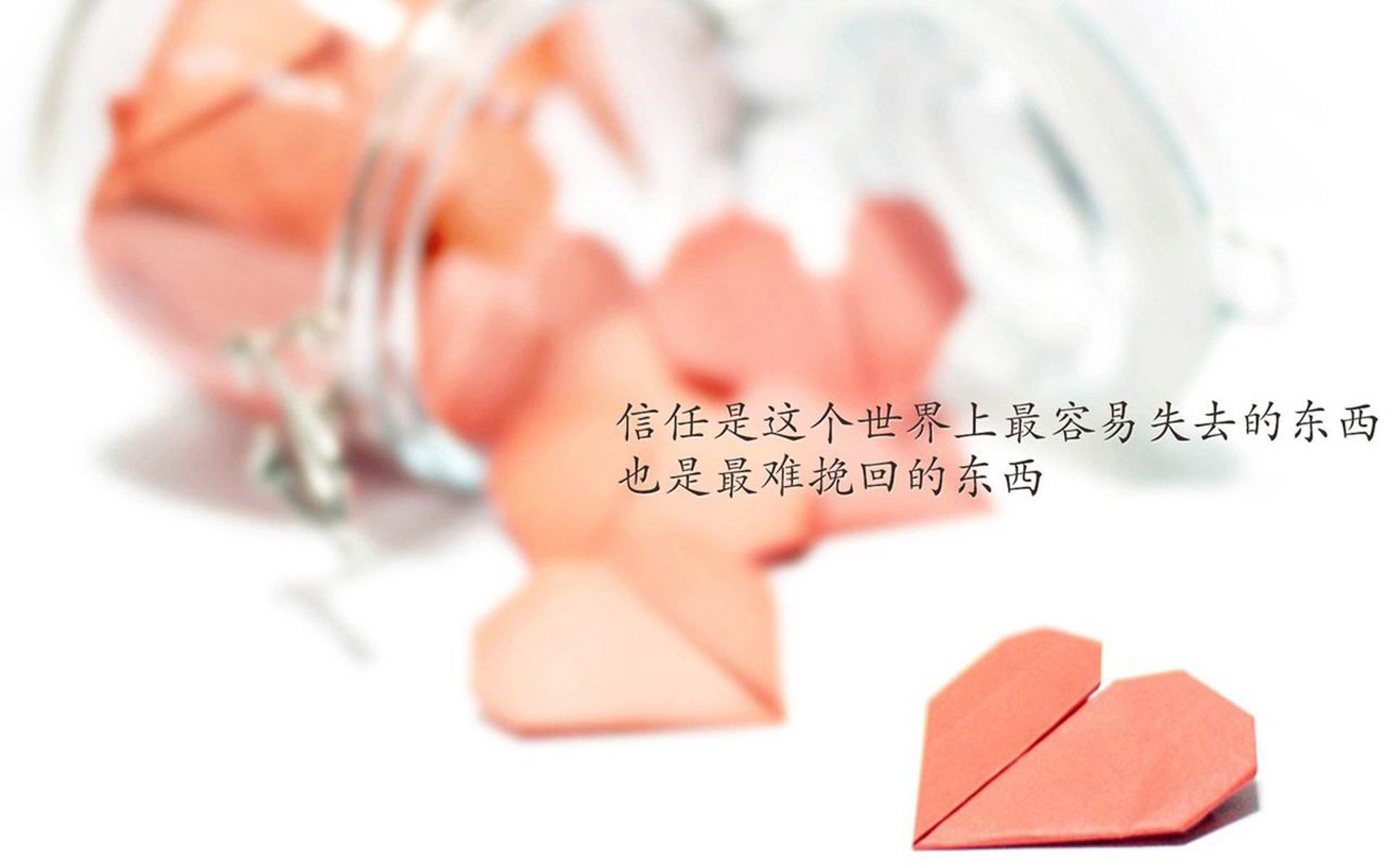 沙漠之狮怒吼,摩洛哥2026首战掀翻罗马尼亚,托纳利孤星闪耀难救主